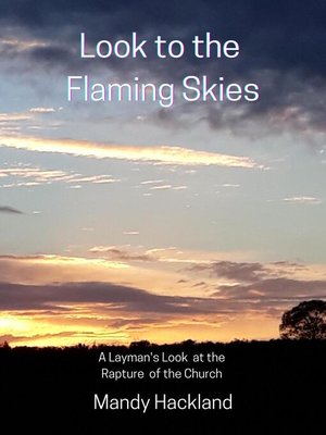cover image of Look to the Flaming Skies